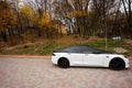 Sataniv, Ukraine - October 23, 2022: Dual color black and white Tesla Model S on pavement at utumn forest
