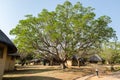 Satara Rest Camp accommodation. Kruger park, South Africa Royalty Free Stock Photo