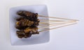 Satay. Asian cuisine - Satay on background