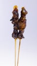 Satay. Asian cuisine - Satay on background