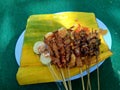 Sate indonesian skewer with a natural background. Sate is one of traditional Indonesian food which served with peanut sauce