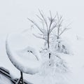 Satellite antenna covered by snow