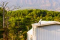 Satellite dish at the roof of country house with mountain background for internet, television and communication connection in Royalty Free Stock Photo