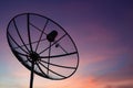 Satellite dish at sky sunset technology network Royalty Free Stock Photo