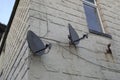 Satellite dishes on the wall Royalty Free Stock Photo