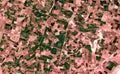 Satellite image where crops are seen over the sonora desert, mexico. Royalty Free Stock Photo