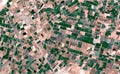 Satellite image where crops are seen over the sonora desert, mexico. Royalty Free Stock Photo