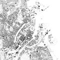 Satellite map of Copenaghen, Denmark. City streets Royalty Free Stock Photo