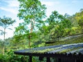 Satellite on the roof in the jungle Royalty Free Stock Photo