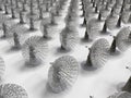 Satellites array Royalty Free Stock Photo