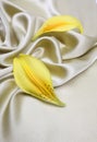 Satin cloth with petals Royalty Free Stock Photo