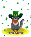 Satisfied Cat dressed as a leprechaun. Poster St. Patrick`s Day Royalty Free Stock Photo
