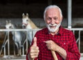 Satisfied farmer in front of lipizzaner horses in barn