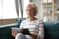 Satisfied focused older woman using computer tablet, looking at screen Royalty Free Stock Photo