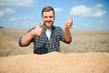 Satisfied young farmer standing on trailer in field and checking harvested wheat grains after harvest. Royalty Free Stock Photo