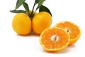 Satsuma Royalty Free Stock Photo