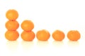 Satsuma Royalty Free Stock Photo