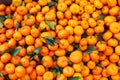 Satsuma mandarin in bulk on the market Royalty Free Stock Photo