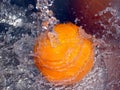 Satsuma Splash Royalty Free Stock Photo