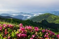 Saturated colors. Majestic Carpathian mountains. Beautiful landscape. Breathtaking view