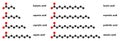 Saturated fatty acids: butyric, caproic, caprylic, capric, lauric, myristic, palmitic and stearic acid. Stylized 2D renderings.