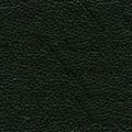 Saturated green leather background. Elegent dark green leather texture.