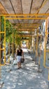 Lady walking under scafolding