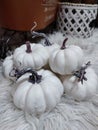 Saturday , 5 Jun : Piles of white pumpkins can be used as home decor to make it look more luxurious.