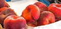 Saturn Peaches or Donut peaches sold at local city market Royalty Free Stock Photo
