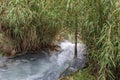 Hot Mill waterfalls of  cascate dele Mulino. Grosseto, Tuscany, Italy Royalty Free Stock Photo