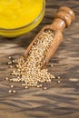 Sauce and seeds of yellow mustard - Sinapis alba Royalty Free Stock Photo