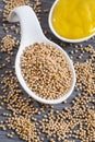 Sauce and seeds of yellow mustard - Sinapis alba Royalty Free Stock Photo