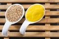 Sauce and seeds of yellow mustard - Sinapis alba Royalty Free Stock Photo