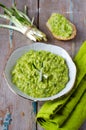 Sauce of wild garlic Royalty Free Stock Photo