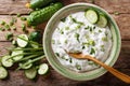 Sauce of yogurt with herbs, spices and cucumber close-up on the Royalty Free Stock Photo