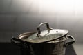 A saucepan on the stove in the kitchen. Boiling bubbling water while cooking.