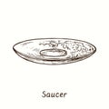 Saucer with floral decor. Ink black and white drawing illustration