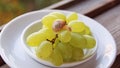 Saucer with grapes, on which cute little snail crawls, on white plate Royalty Free Stock Photo