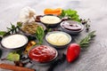 Sauces Assortment. Set of various sauces in bowls with ketchup, mayonnaise, pesto and mustard. Variety of induvidual marinades