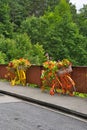 Saudafjorden. Svandalsfossen fall. Bicycle as a flower pot. Colorful bicycle in bloom. Norway