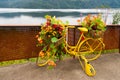 Saudafjorden. Svandalsfossen fall. Bicycle as a flower pot. Colorful bicycle in bloom. RÃÂ¸ldal road. Norway.