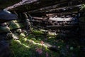 Saudeleur dynasty tomb mausoleum inside walls of Nan Madol. Pohnpei, Micronesia, Oceania. Royalty Free Stock Photo