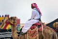 Saudi Arab Camel rider with his camel on traditional desert safari festival in abqaiq Saudi Arabia. 10-Jan-2020 Royalty Free Stock Photo