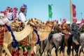 Saudi Arab Camel riders with their camels on traditional desert safari festival in abqaiq Saudi Arabia. 10-Jan-2020 Royalty Free Stock Photo