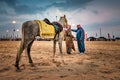 Saudi Arab Horse rider with his horse on traditional desert safari festival in abqaiq Saudi Arabia. 10-Jan-2020 Royalty Free Stock Photo