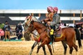 Saudi Arab Horse riders with their horse on traditional desert safari festival in abqaiq Saudi Arabia. 10-Jan-2020 Royalty Free Stock Photo