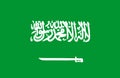 Saudi Arabia flag. Royalty Free Stock Photo
