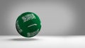 Saudi Arabia soccer football ball 3d rendering national flag col