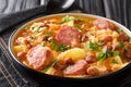 Sauerkraut stew with borlotti beans, potatoes and sausages close-up in a bowl. horizontal