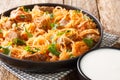 Sauerkraut stew with pork and paprika close-up in a plate. horizontal